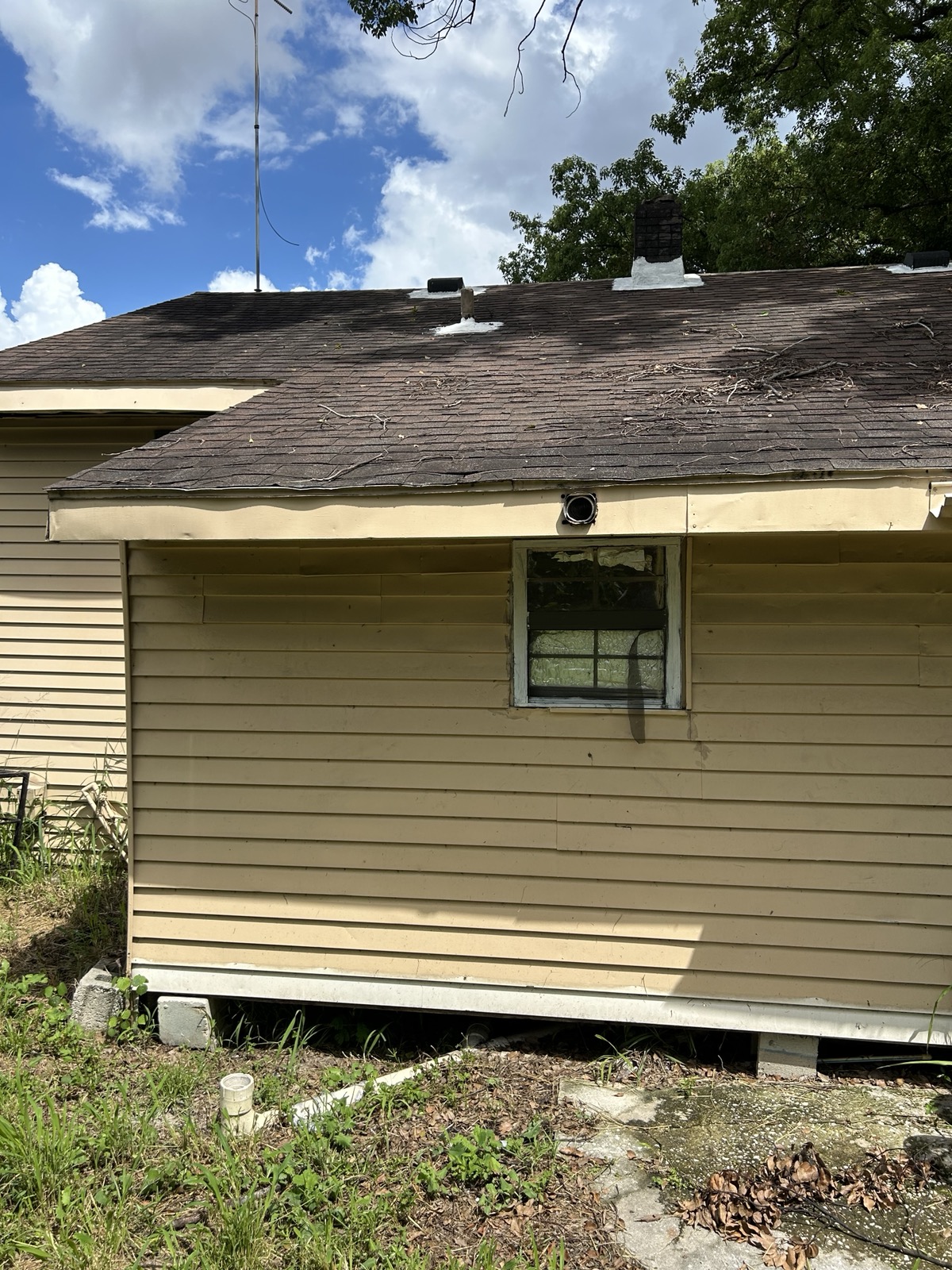 The house from the yard