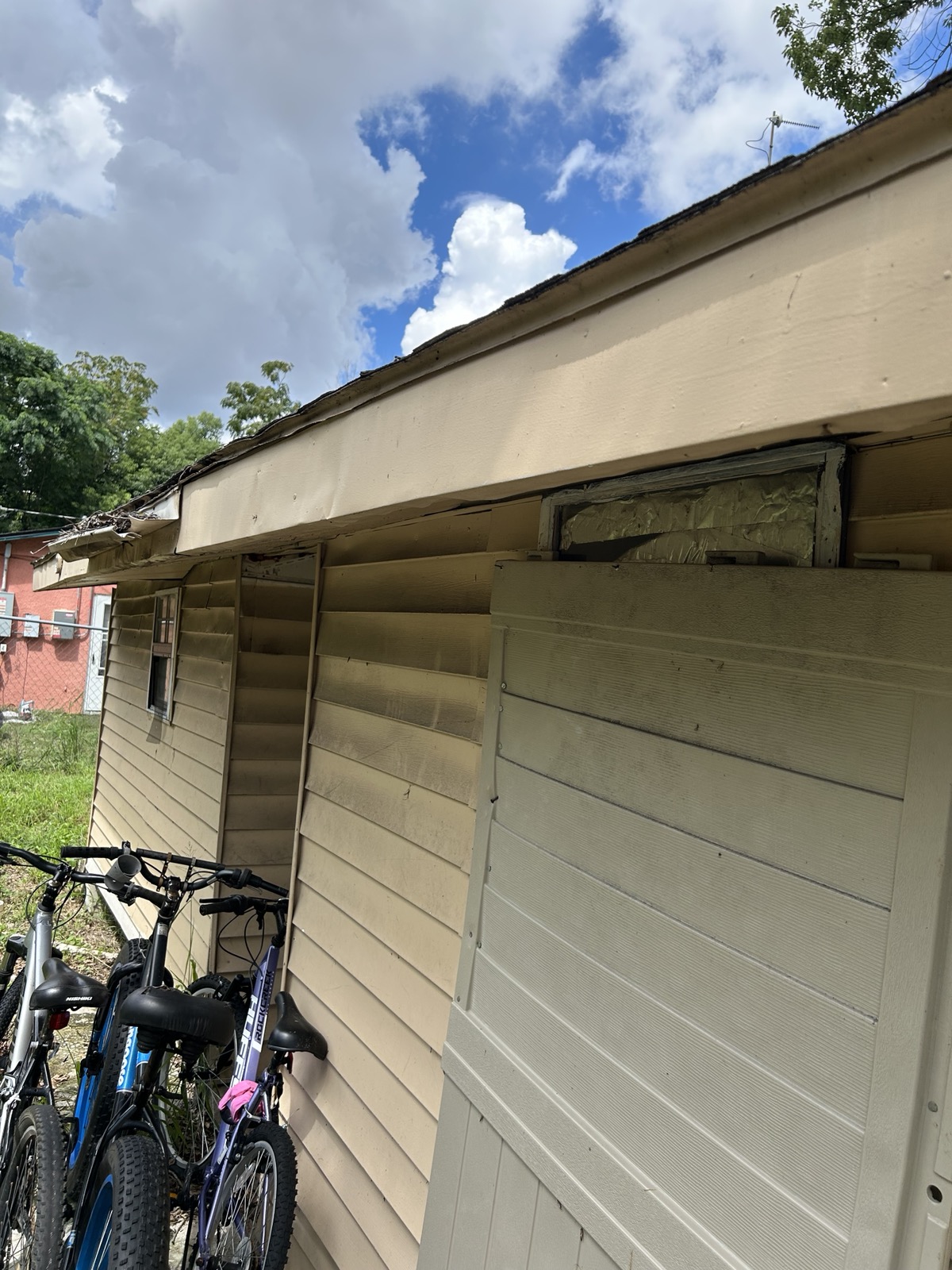 Along the side of the house