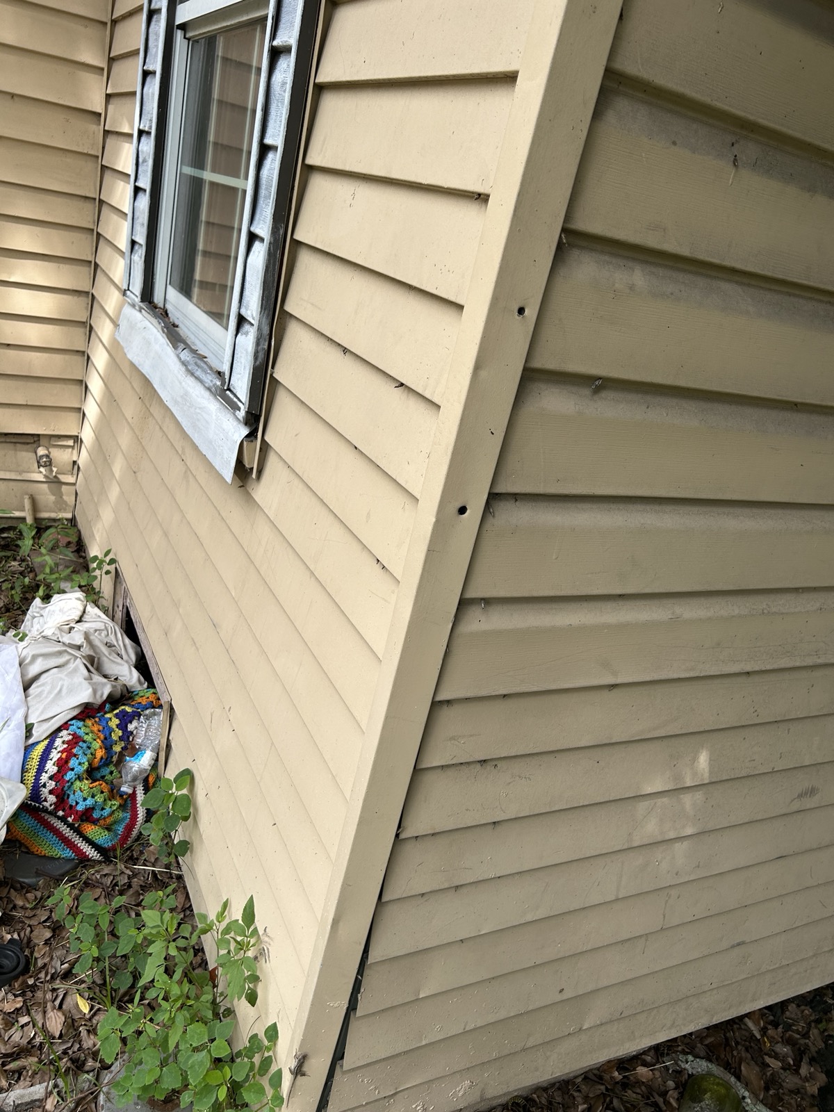 Siding and window
