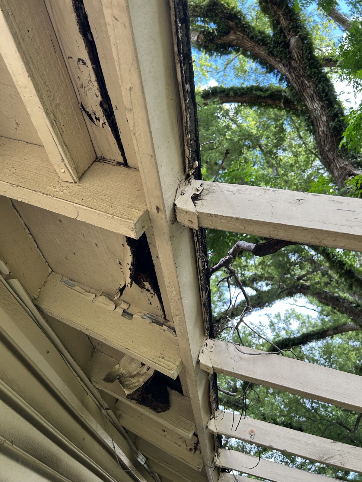 Fascia and framing